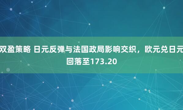 双盈策略 日元反弹与法国政局影响交织，欧元兑日元回落至173.20