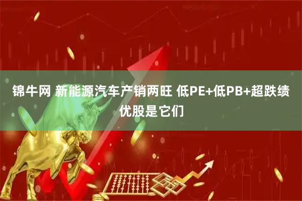 锦牛网 新能源汽车产销两旺 低PE+低PB+超跌绩优股是它们