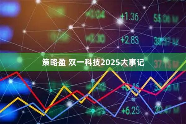 策略盈 双一科技2025大事记