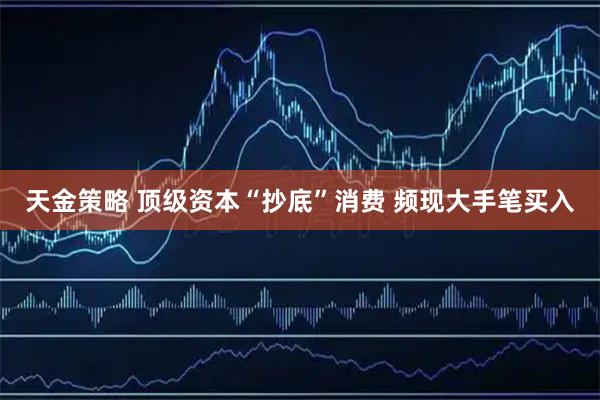天金策略 顶级资本“抄底”消费 频现大手笔买入
